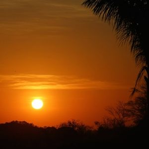 Meet your Posher, Sandy